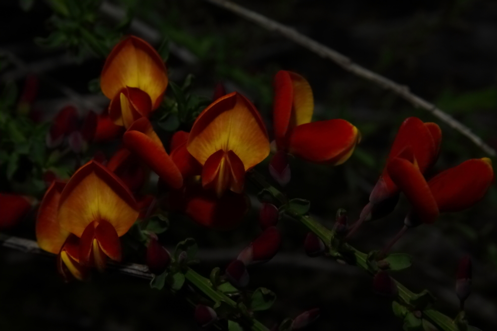 2011 05 22 IMG 32241